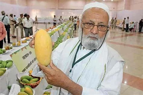 India’s Mango Man grows more than 300 varieties from 120-year-old tree ...