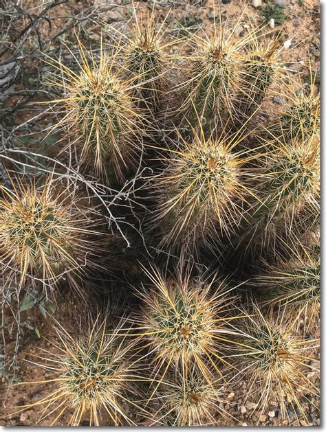 The Preserve saved | Photographs, Photographers and Photography
