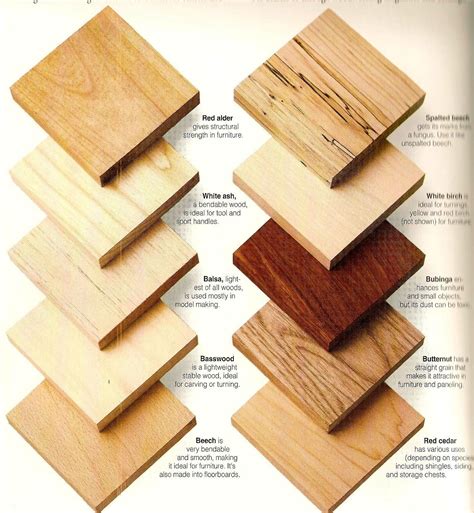 Pin on Wood Species | Beginner woodworking projects, Woodworking ...