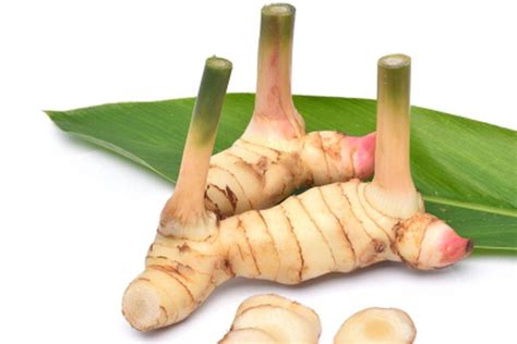 manfaat lengkuas masjid nasional al akbar surabaya