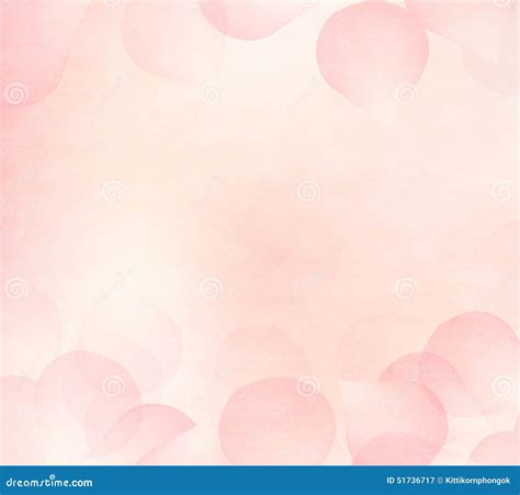 Pink Flower Petals Background. Stock Illustration - Illustration of ...