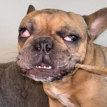 THE HALSTEN AT CHAUNCEY LANE BY MARK-TAYLOR - Updated May 2025 - 34 ...