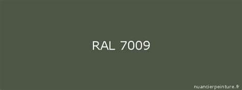 RAL 7009 : Peinture RAL 7009 (Gris vert) | NuancierPeinture.fr