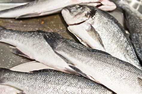 raw fish photograph  tom gowanlock pixels