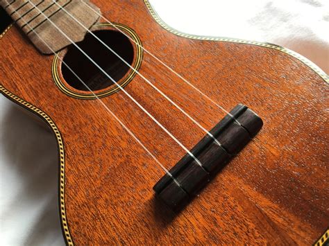 tenor guitar  baritone ukulele