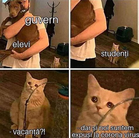 Poze smechere - Acasă | Facebook