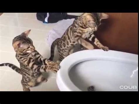 чувак что это такое - YouTube