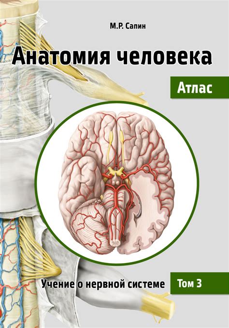 М. Р. Сапин, книга Анатомия человека. Атлас. Том 3. Учение о нервной ...