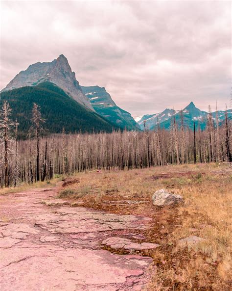 Montana wyoming national park travel guide – Artofit