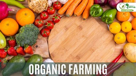 organic farming embracing  holistic approach  agriculture