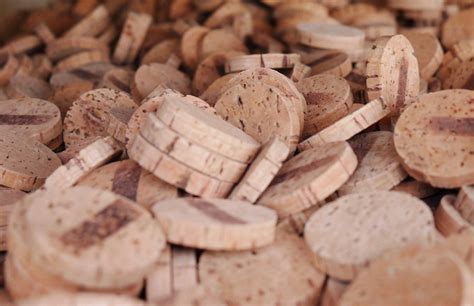 cork material environmentally friendly reasons