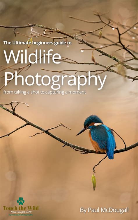The Ultimate Beginners Guide to Wildlife Photography: From Taking a
