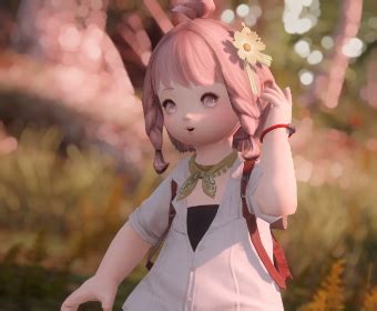 Cosmos Adventurer | Eorzea Collection