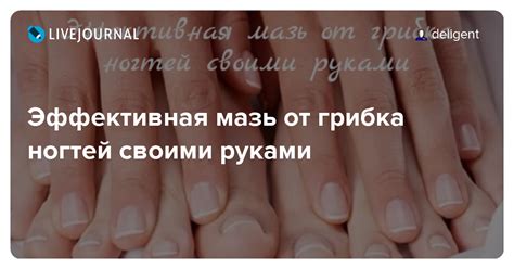 Эффективная мазь от грибка ногтей своими руками: deligent — LiveJournal