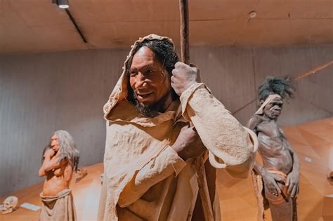 Premium Photo | 22 july 2022 neanderthal museum germany detailed wax ...