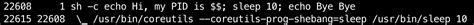 Implementing Container Runtime Shim: runc