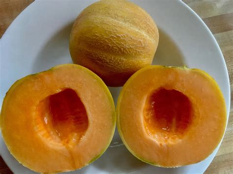 How To Score Continuous Harvests with Succession Planting – Prairie