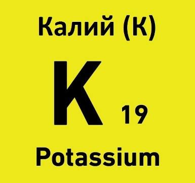 Калий: в каких продуктах он содержится (таблица)