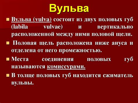 Акушерская физиология. Анатомия половых органов самок - презентация онлайн
