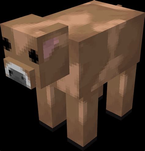 New Updates Will Add More Features To The Brown Mooshroom - RYZE Superfoods