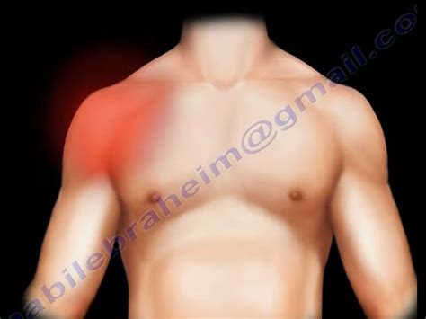 comprehensive shoulder examination commonly  shoulder tests