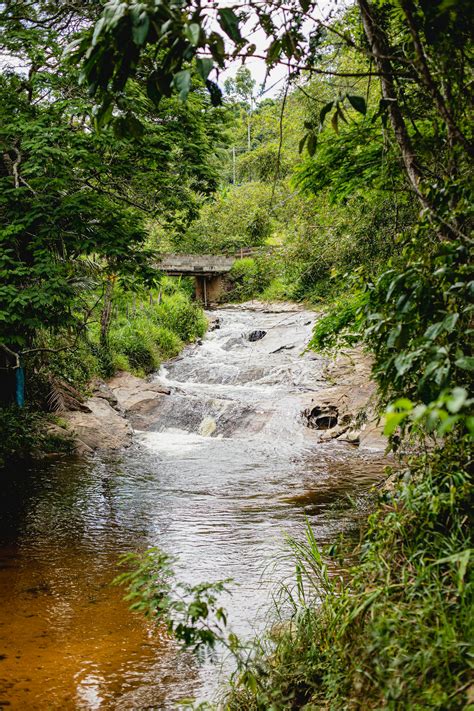 Brazilian+Naked+Girl Photos, Download The BEST Free Brazilian+Naked