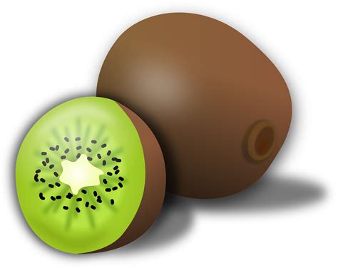 1.000+ Vektor Buah Kiwi & Buah Gratis - Pixabay