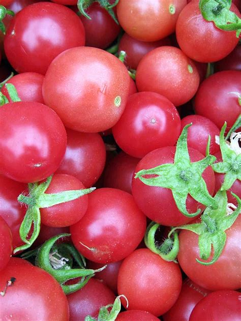 Томат Вишня розовая (Pink Cherry)