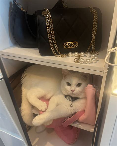 Hana Ruby - Hana Ruby added a new photo — at Miami, Florida.