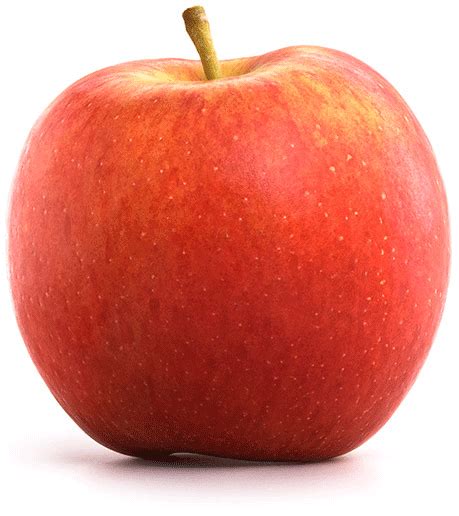 Southern Hemisphere JAZZ™ Apples Land In the UK - JAZZ Apple UK