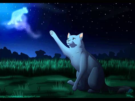 Warrior Cats Blue Star Quotes. QuotesGram