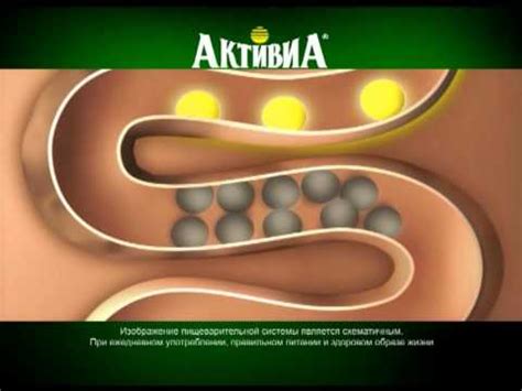 Активиа - YouTube