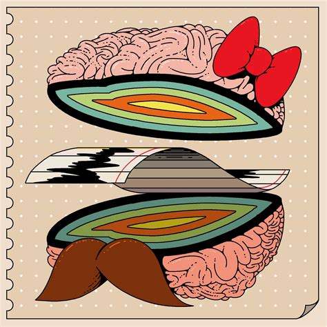 What Can Brain Scans Tell Us About Sex? - The New York Times