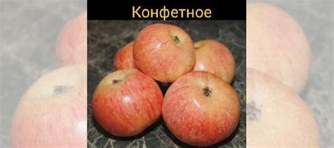 Черенки(привой) купить в Рассказово | Товары для дома и дачи | Авито