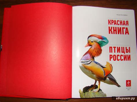 Книга: Красная книга. Птицы России - Оксана Скалдина. Купить книгу ...