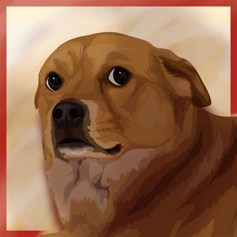 From TikTok to Worldwide Fame: How Xiaopang the Chinese Dog is Winning ...