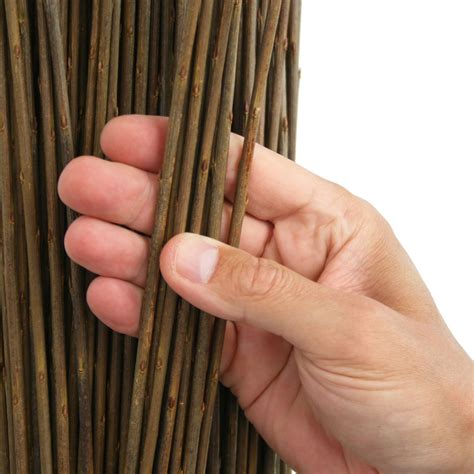 What type of willow is used in basket weaving?