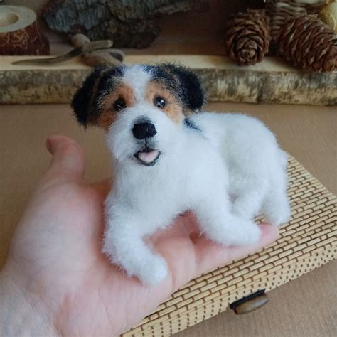 Teacup Miniature Jack Russell Terrier at David Sells blog