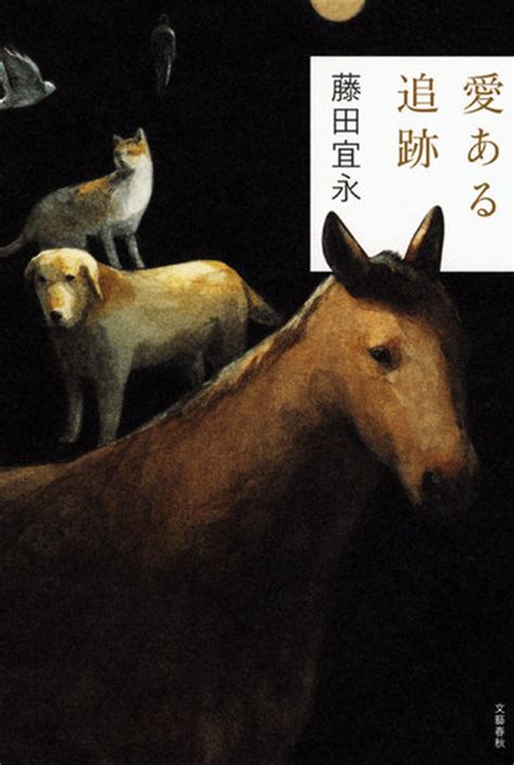 Akitaka Ito - ein japanischer Illustrator | petra hartl