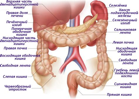 Омолаживающая программа | Во всем виноват Эйнштейн...