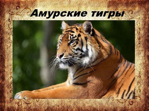 Красная книга России - online presentation