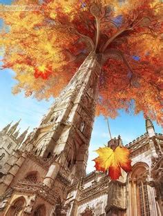 120 Dnd Loading Screens ideas | fantasy art, concept art, fantasy ...