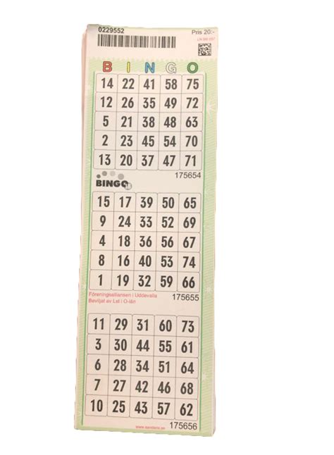 Bingo 18 – Spännande, Socialt & Roligt