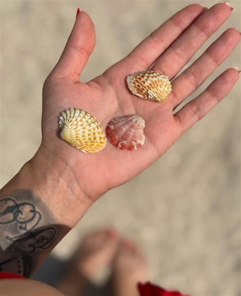 Роксана Фролова | доброе утро - это когда вот так 😸 🐚 . . . . #