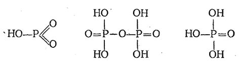 § 4. Фосфор
