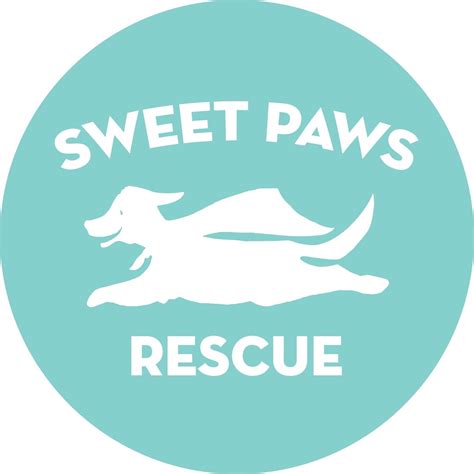 Miss Rachel and Barley: a canine love story
