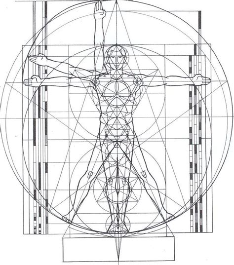 Man's divine proportions Geometry Art, Sacred Geometry, Nature Geometry ...