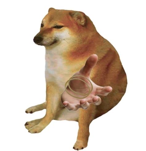999+ ảnh meme chó hài hước, meme chó cute (Phần #1)