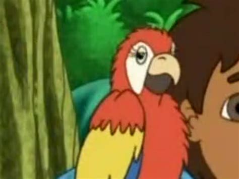 Mami Scarlet Macaw | Dora the Explorer Wiki | Fandom