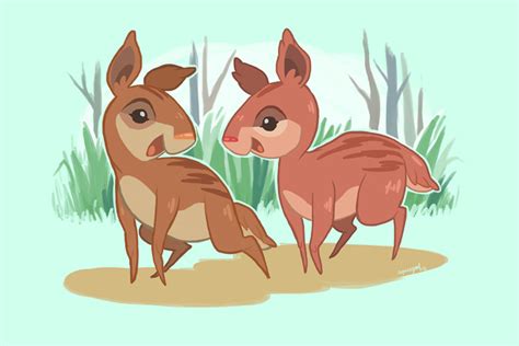 Philippine Mouse Deer Pilandok